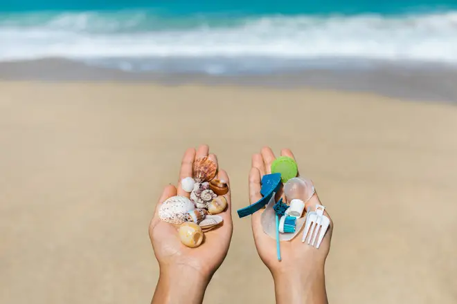 浜辺で拾った貝殻とプラスチック容器の破片